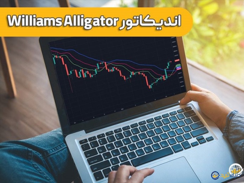 اندیکاتور الیگیتور چیست؟ فیلم آموزش کامل Alligator با pdf 