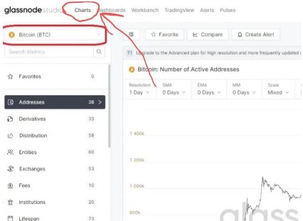 قسمت Charts وبسایت Glassnode