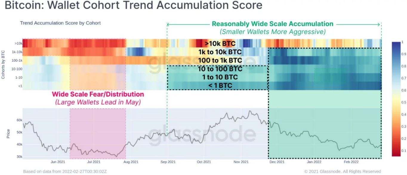 انباشت بیت کوین توسط هولدرها