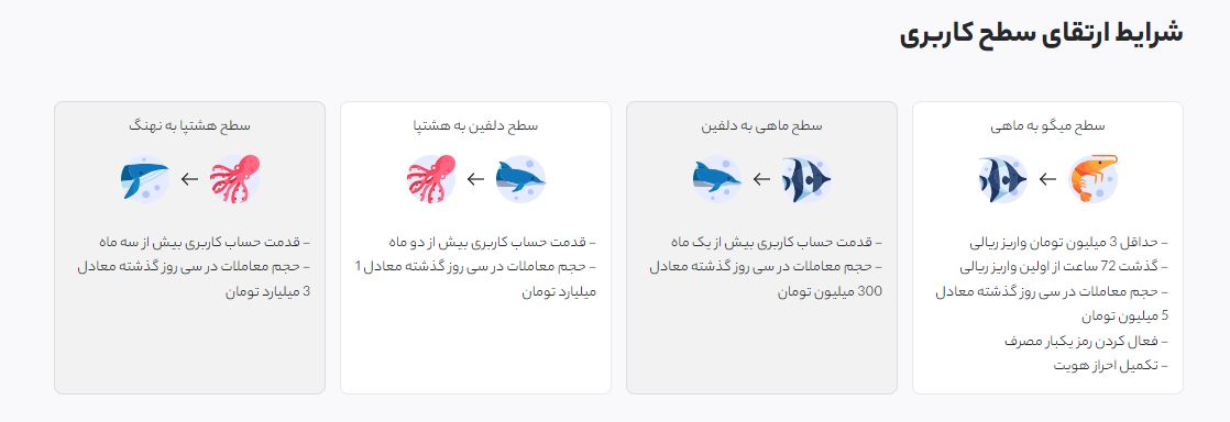 انواع سطوح کاربری در پلتفرم اکسیر