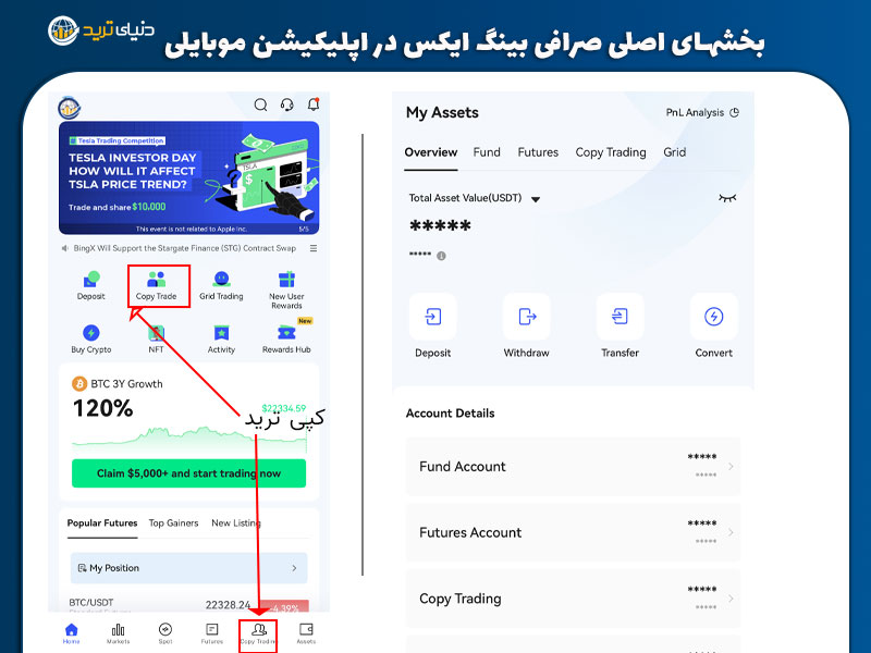 بخش asset و کپی تریدینگ bingx