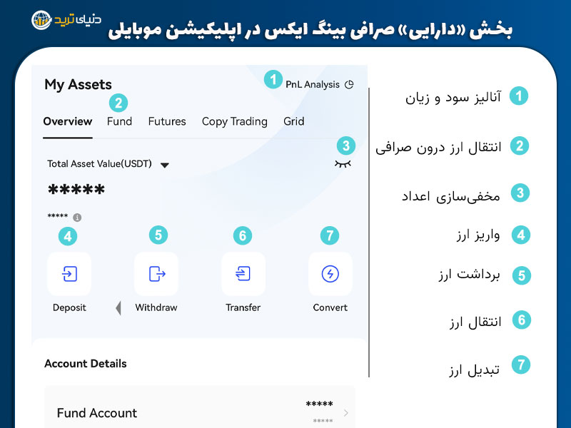 قسمت های مختلف در بخش assets بینگ ایکس