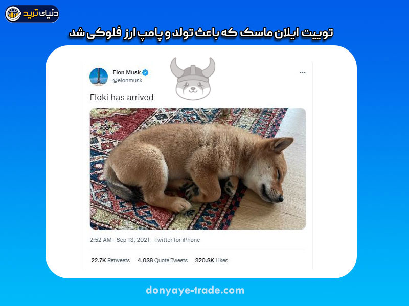 ارز فلوکی ایلان ماسک