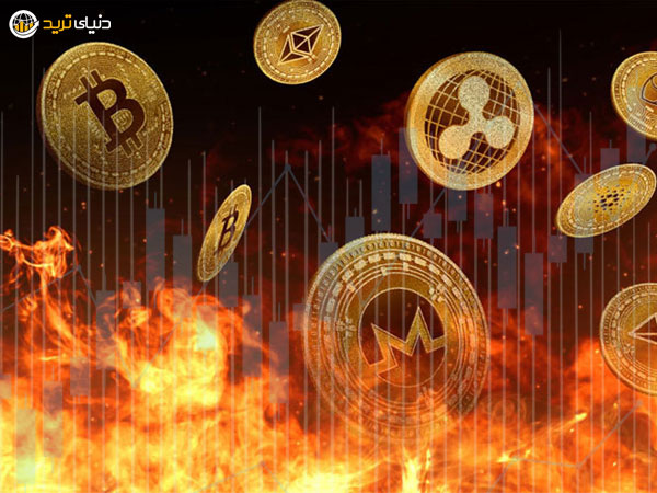تأثیر توکن سوزی در افزایش قیمت