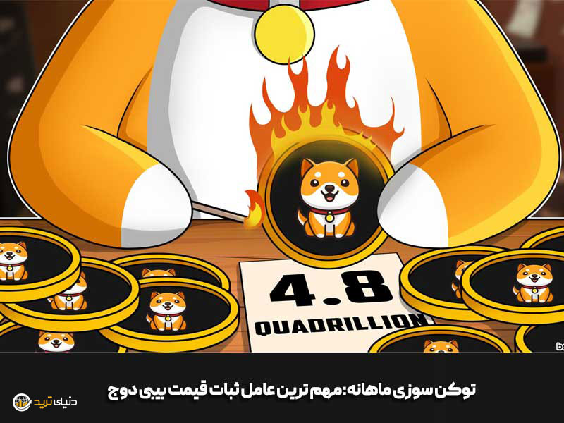 توکن سوزی بیبی دوج