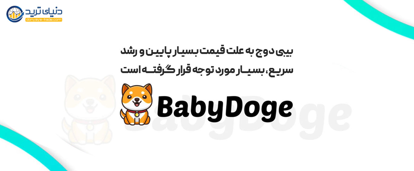دلایل محبوبیت بیبی دوج کوین میان سرمایه گذاران