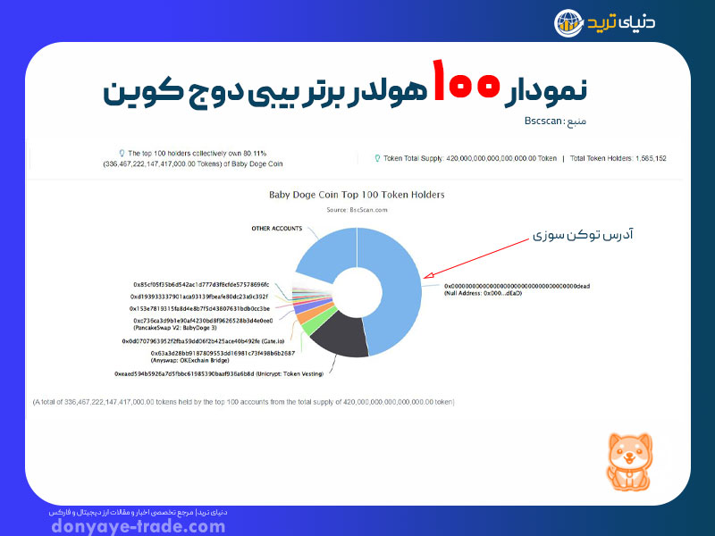 نمودار 100 دارنده برتر ارز بیبی دوج
