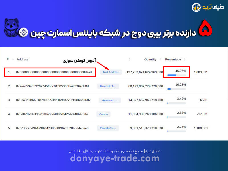 تحلیل موجودی 5 هولدر برتر بیبی دوج کوین