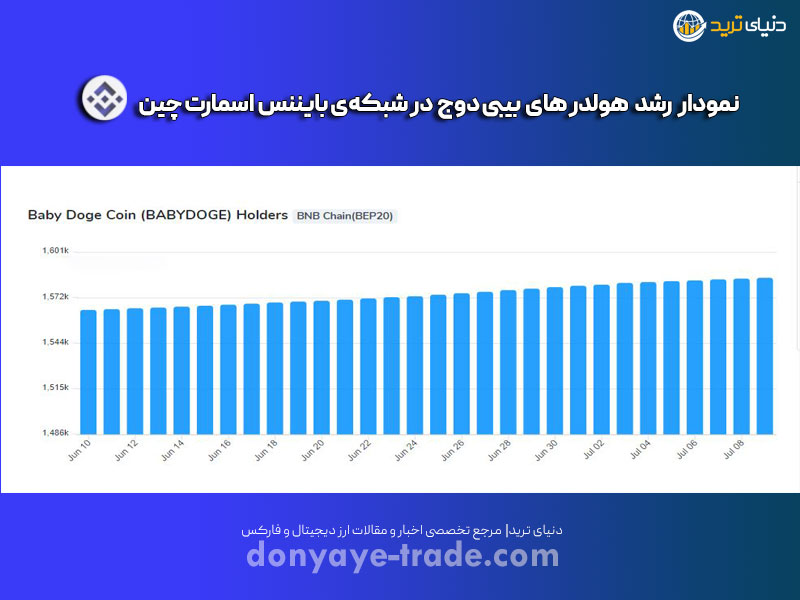 رشد دارندگان ارز بیبی دوج در زنجیره هوشمند بایننس
