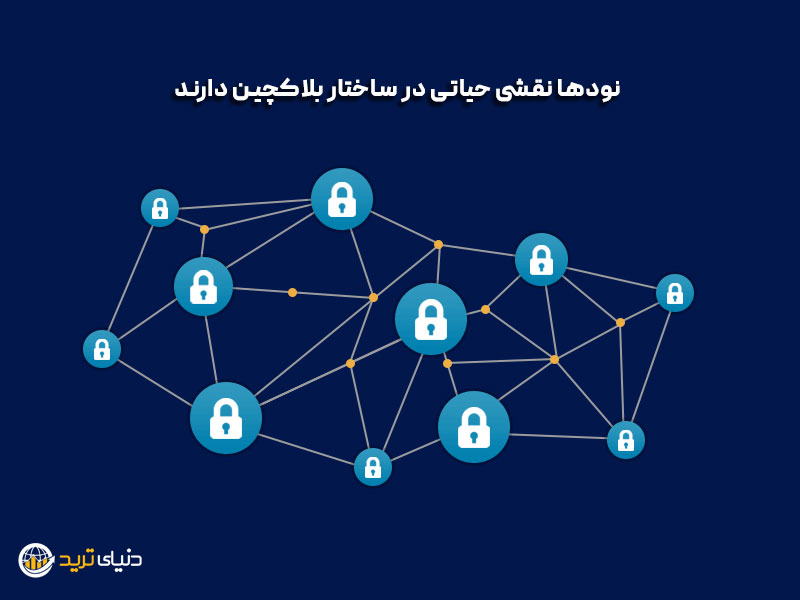 نقش فول نود ارز دیجیتال در ساختار شبکه