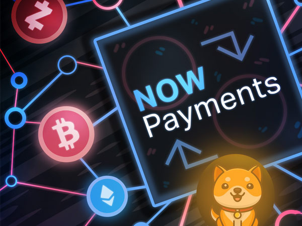 nowpayment بیبی دوج را به عنوان روش پرداخت در شاپی فای اضافه کرد