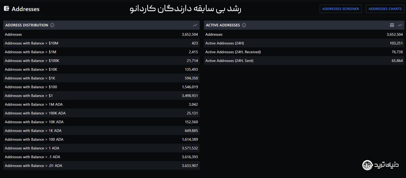 تعداد دارندگان کاردانو+cardano holders