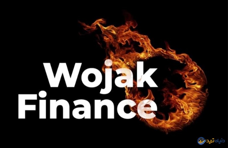 ارز دیجیتال ووجک | معرفی، اخبار و قیمت ارز wojak