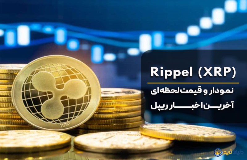 اخبار ریپل - رصد جدیدترین اخبار XRP: پیروزی دادگاه ریپل و جهش قیمت